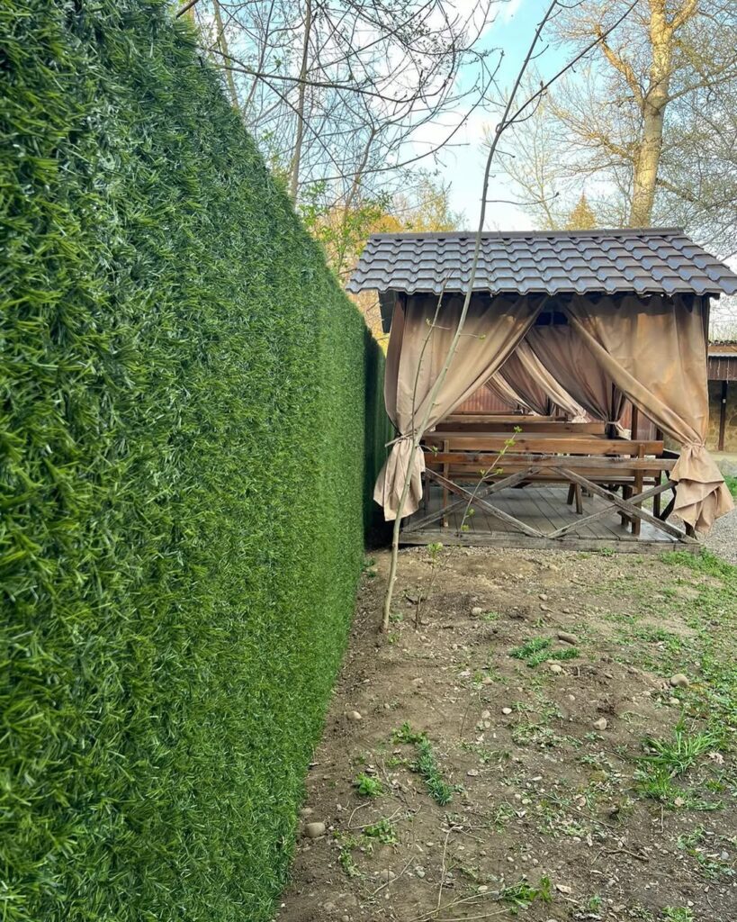 438646483_1513610029496570_7336635643534311331_n