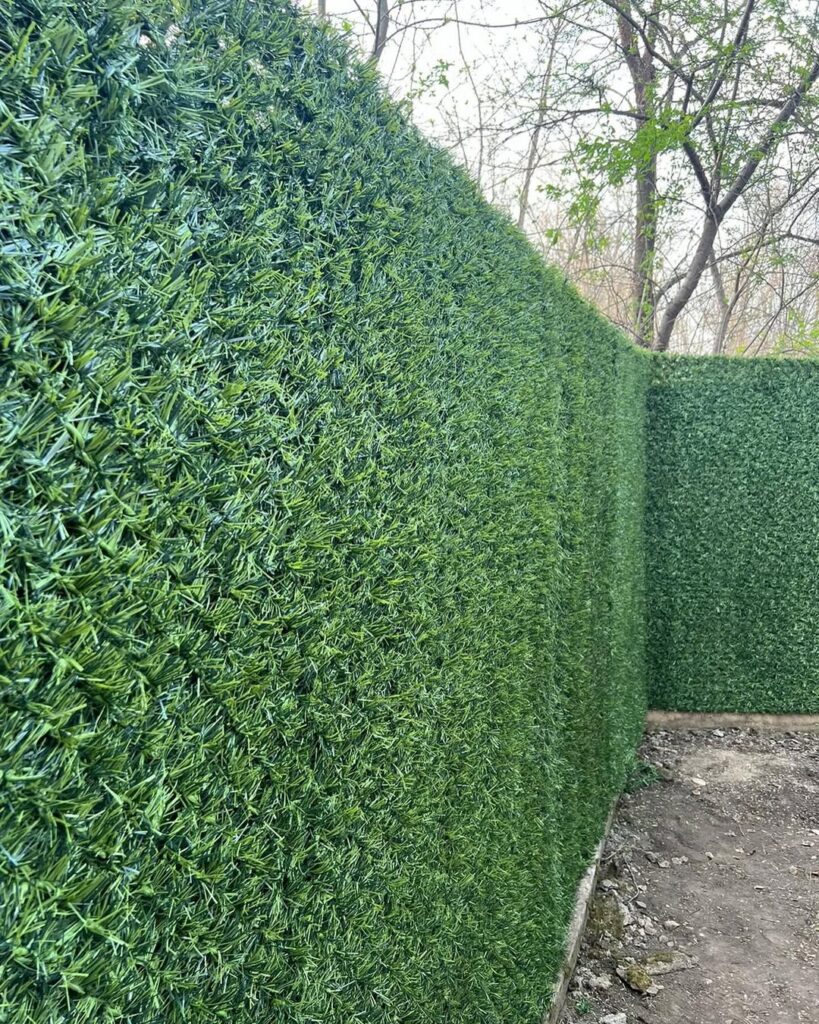 438868674_799626242068063_5178662398894351660_n