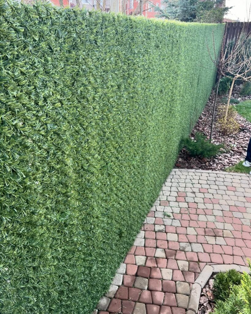 439080251_331555762901317_1513629471461058292_n