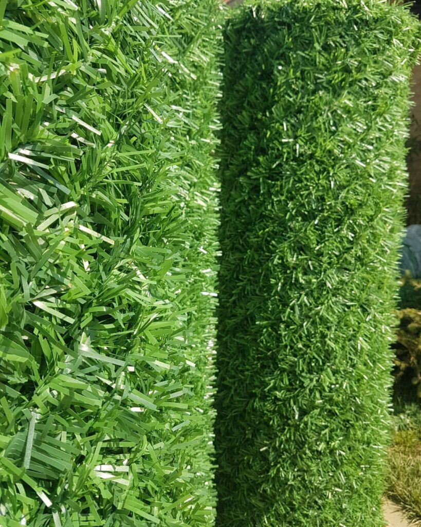 94706666_2866844856738553_6914697250127978621_n