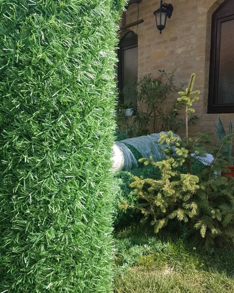 94780227_232180247887850_8910360965443857322_n